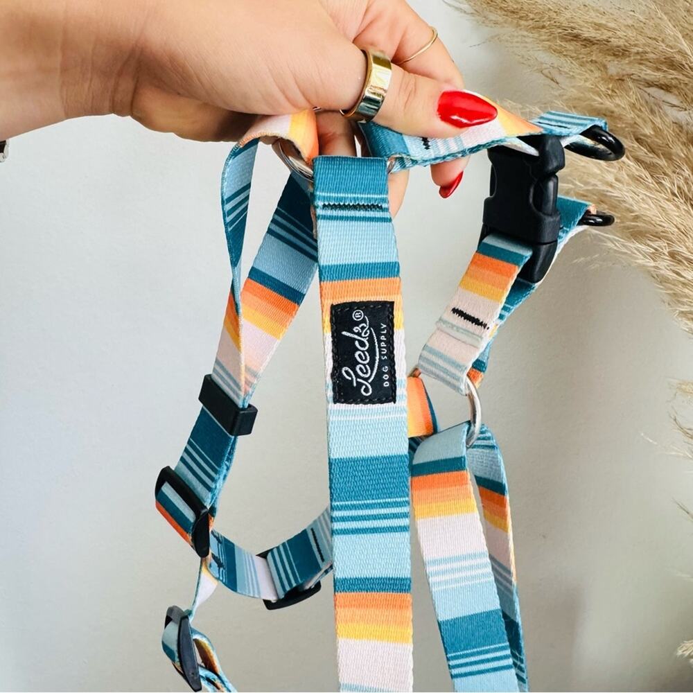 LEEDS Doheny White Blue Stripe Dog Leash Buckle Collar Step Harness $135 Set - Picture 14 of 16